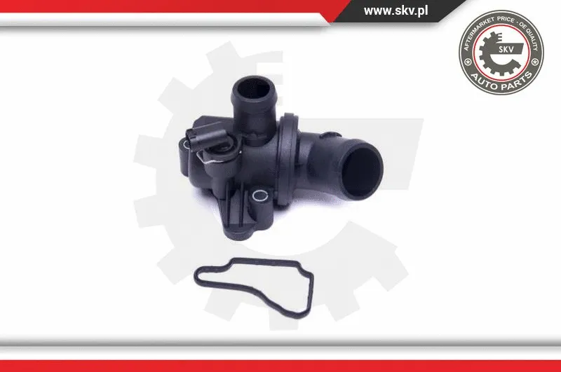 Thermostat, coolant
