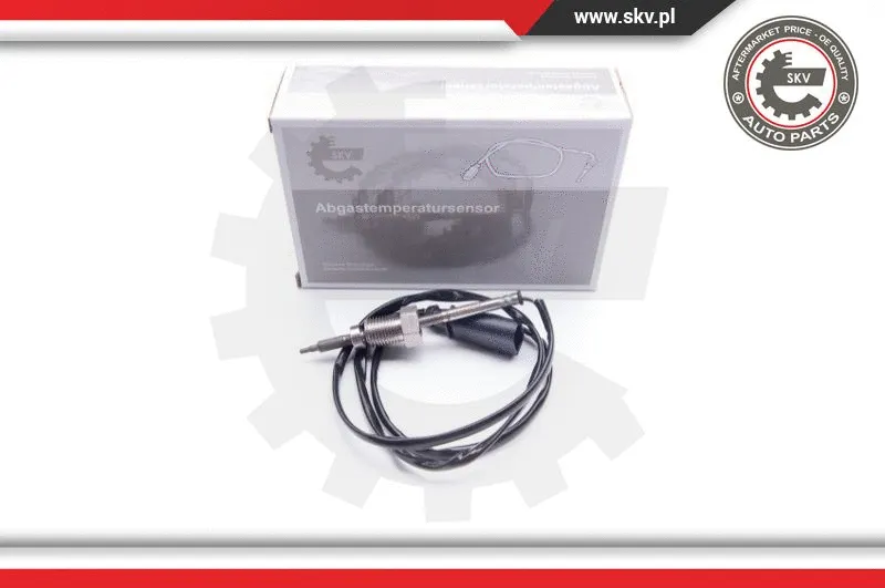 Sensor, exhaust gas temperature (30SKV039)