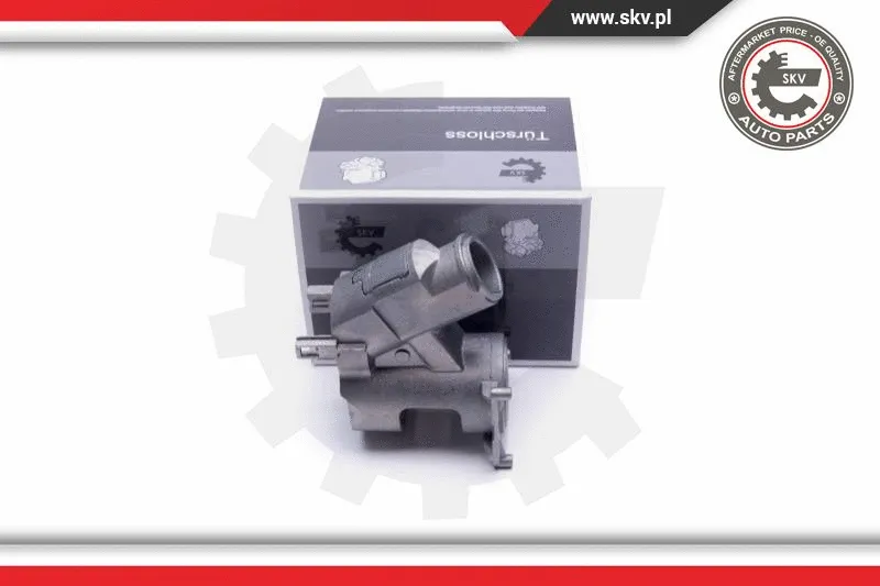 Steering Lock (96SKV793)