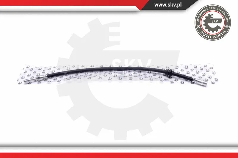 Brake Hose (35SKV204)