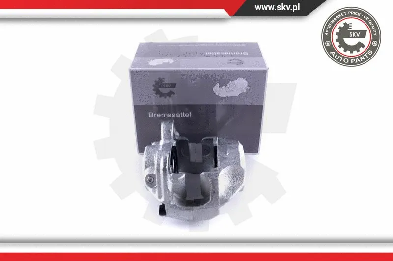 Brake Caliper (55SKV352)