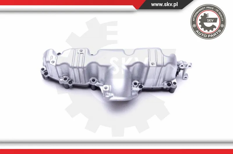 Intake Manifold Module