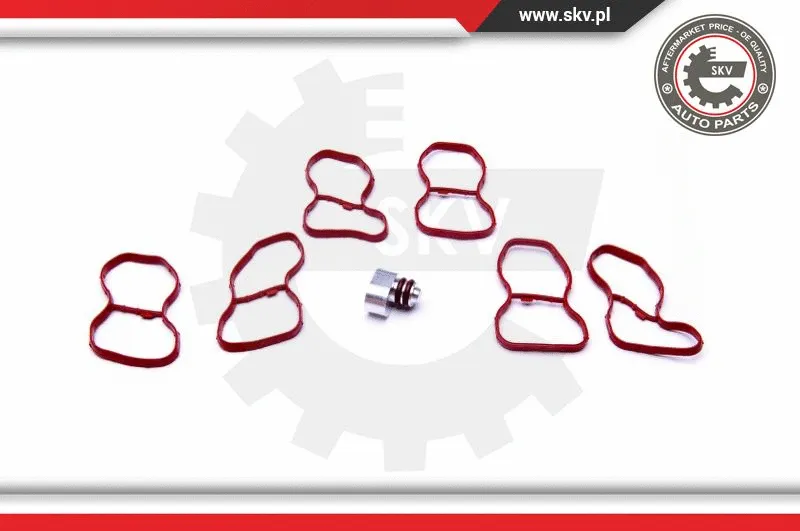 Repair Kit, intake manifold module