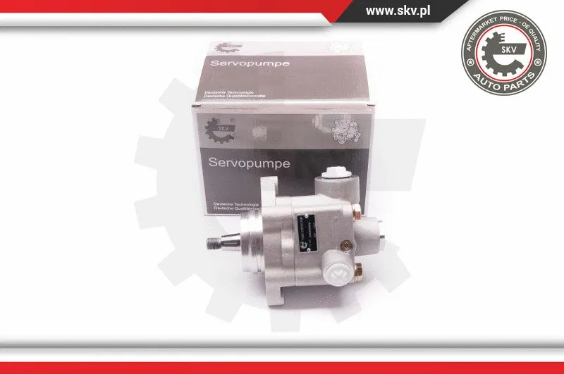Hydraulic Pump, steering (1SKV0008)