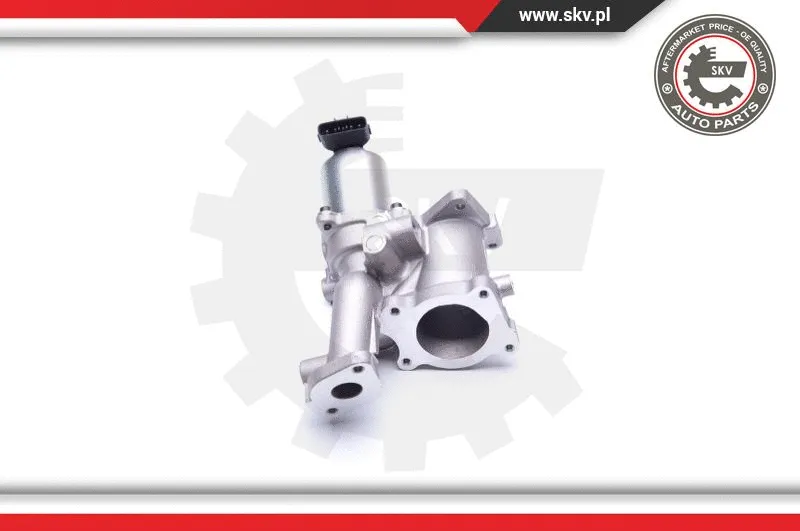 EGR Valve