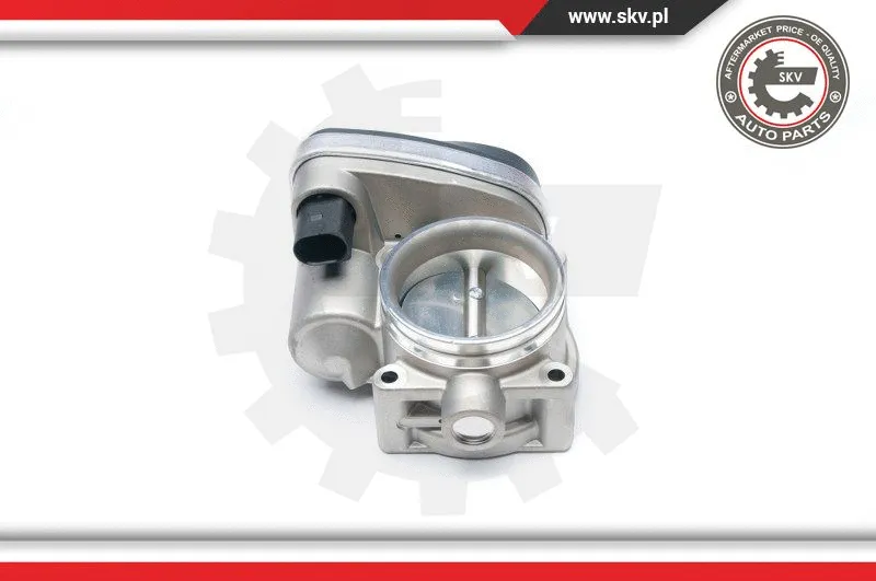 Throttle Body
