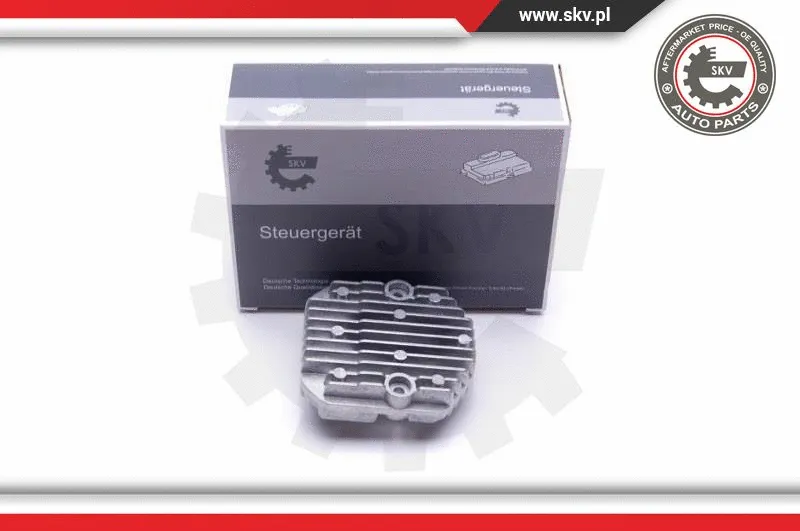 Control Unit, lights (59SKV081)
