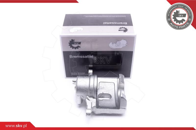 Brake Caliper (46SKV832)