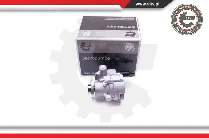 Hydraulic Pump, steering (10SKV008)
