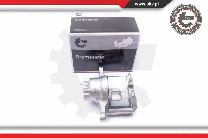 Brake Caliper (45SKV822)