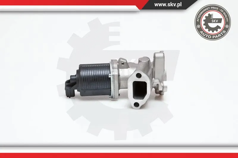 EGR Valve (14SKV040)