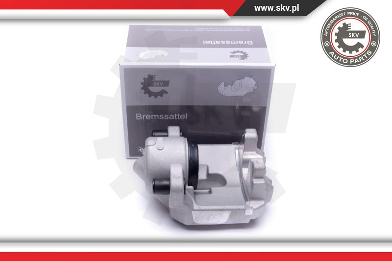Brake Caliper (56SKV291)