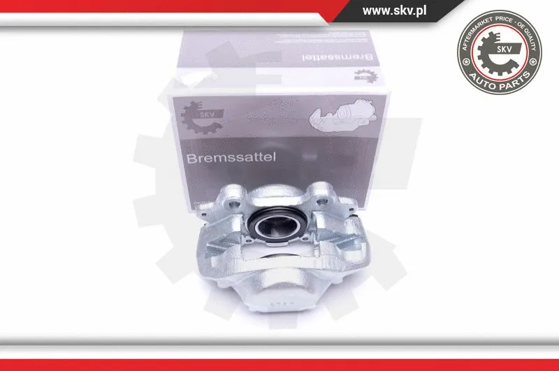 Brake Caliper (45SKV921)