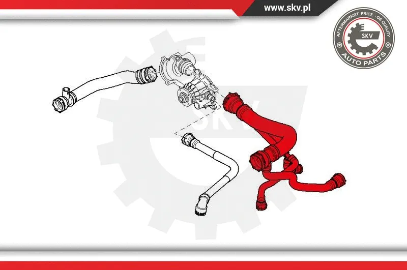 Radiator Hose