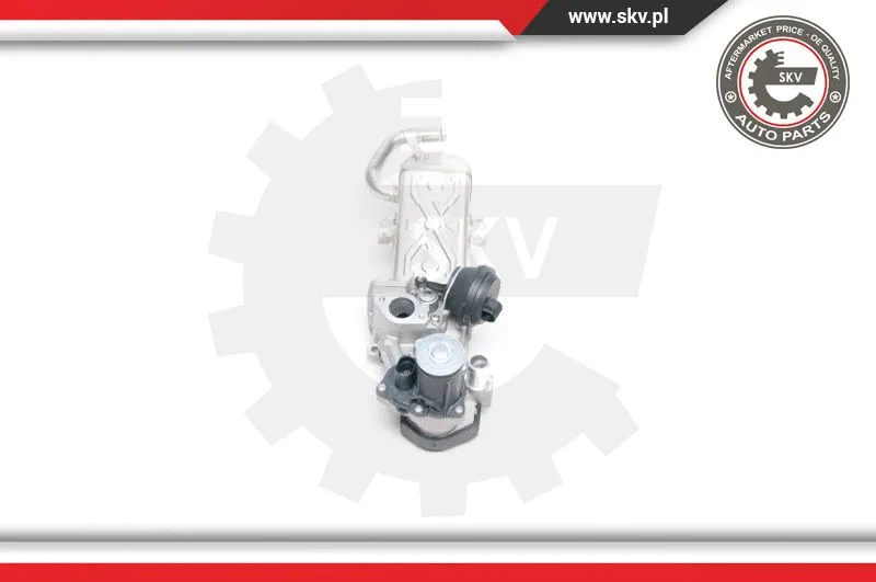 EGR Valve