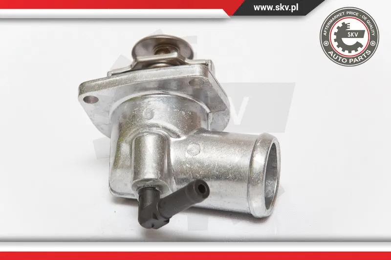 Thermostat, coolant