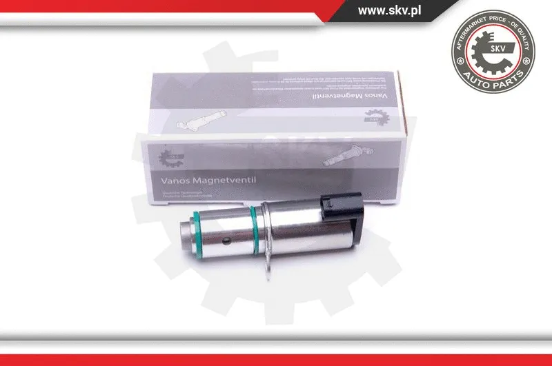 Control Valve, camshaft adjustment (39SKV045)