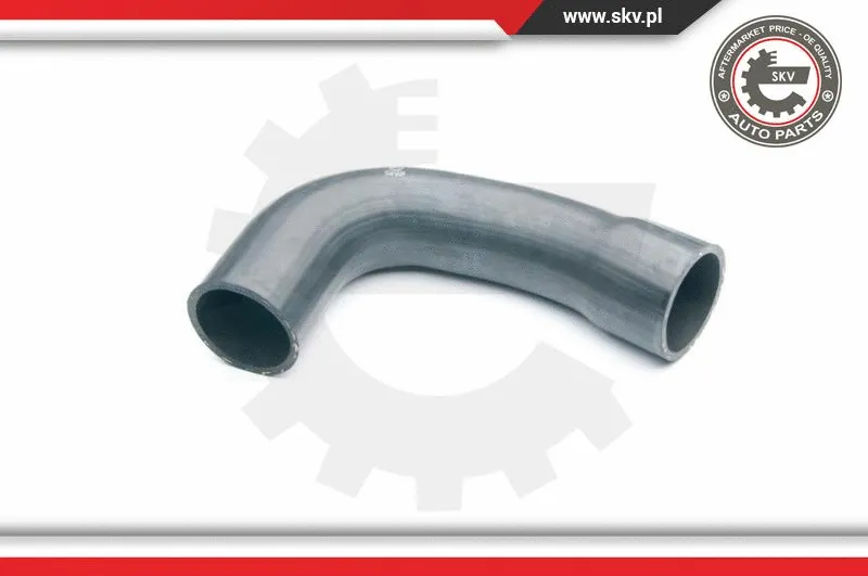 Charge Air Hose (24SKV119)