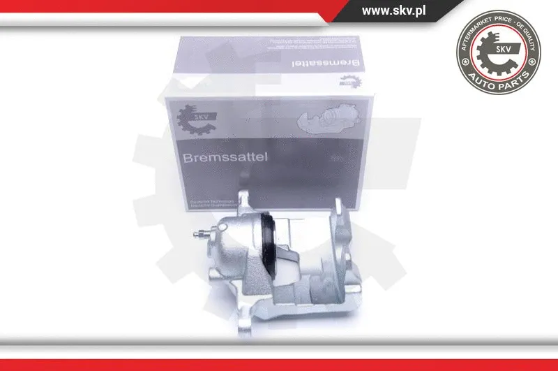 Brake Caliper (44SKV222)