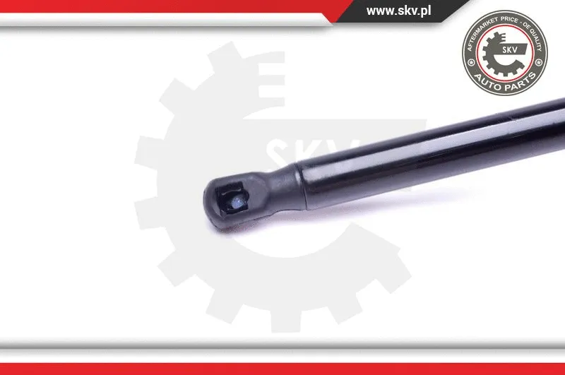 Gas Spring, boot/cargo area