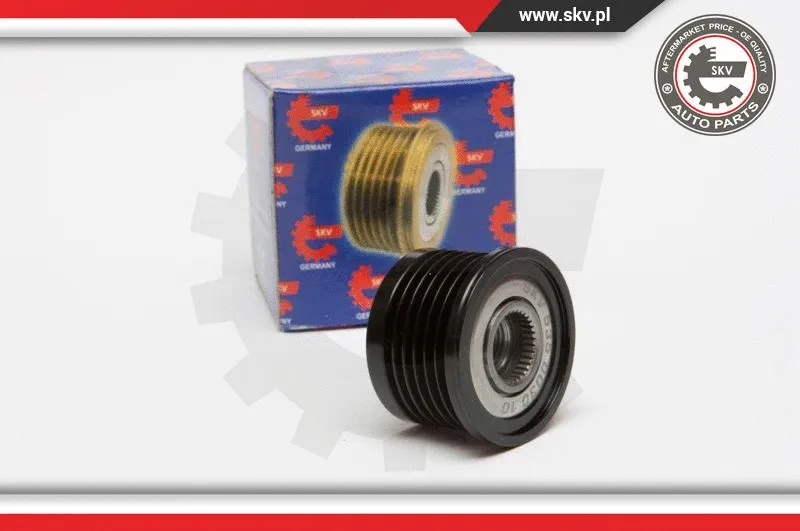 Alternator Freewheel Clutch (11SKV019)