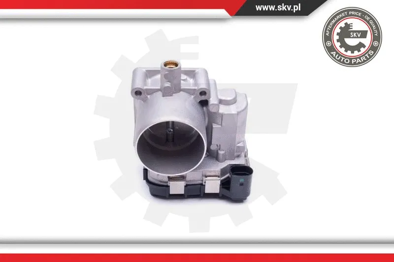Throttle Body