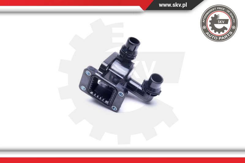 Thermostat, coolant