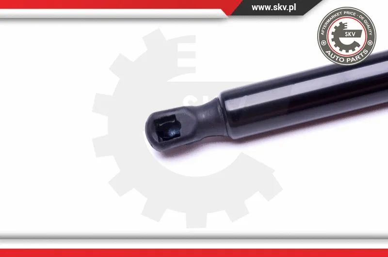 Gas Spring, boot/cargo area