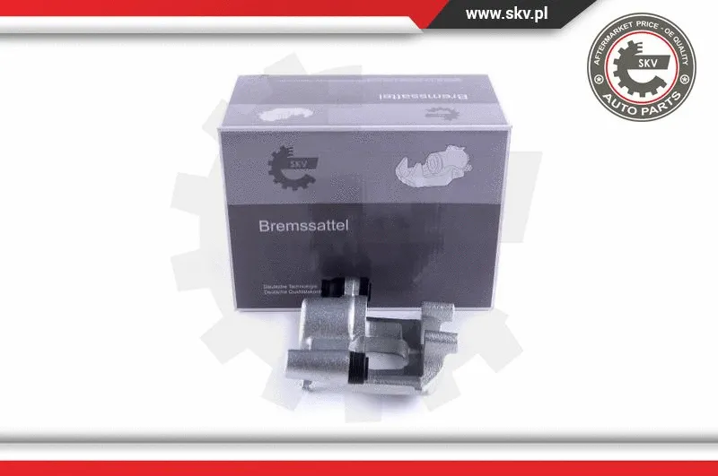 Brake Caliper (55SKV313)