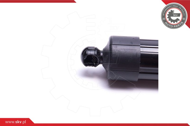 Electric Motor, tailgate