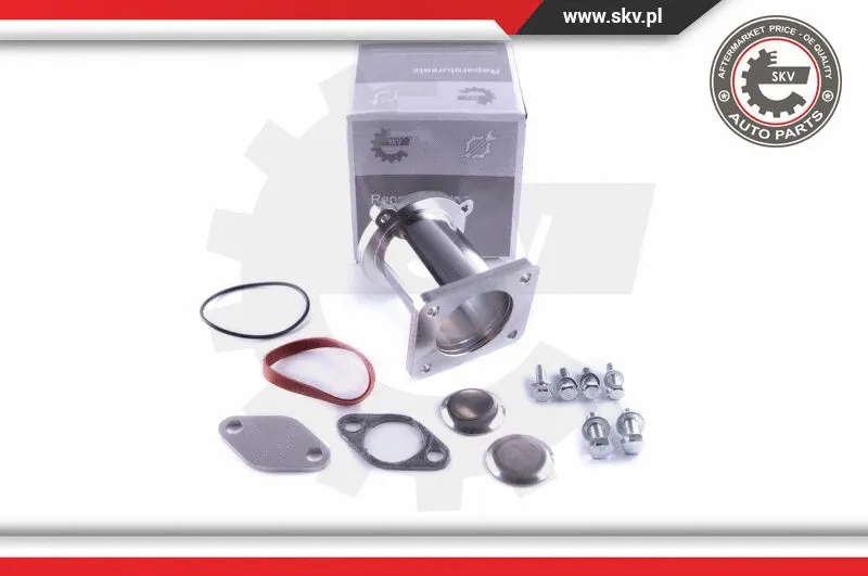 Repair Kit, intake manifold module (14SKV513)