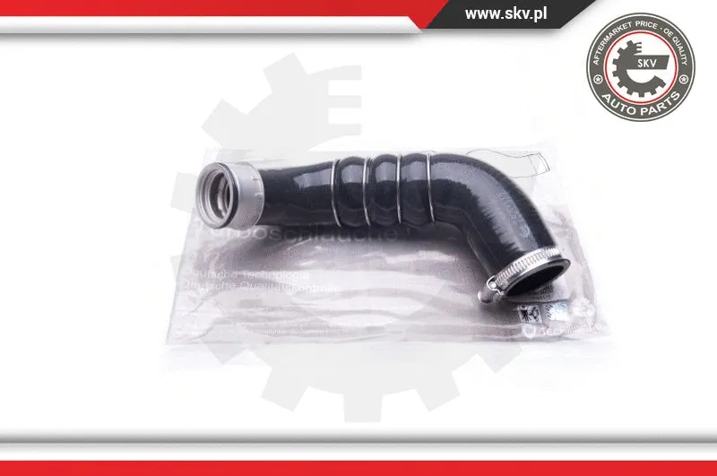 Charge Air Hose (24SKV113)