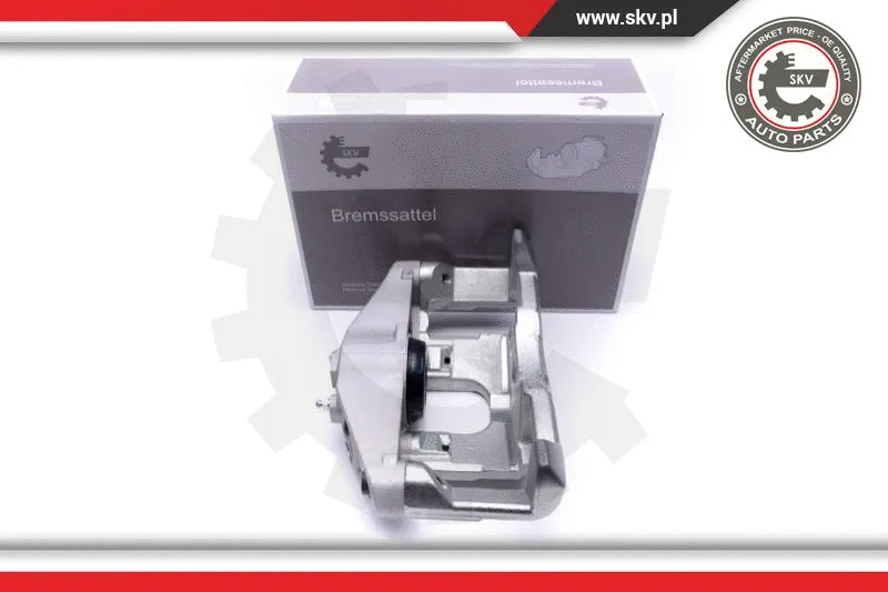 Brake Caliper (55SKV831)