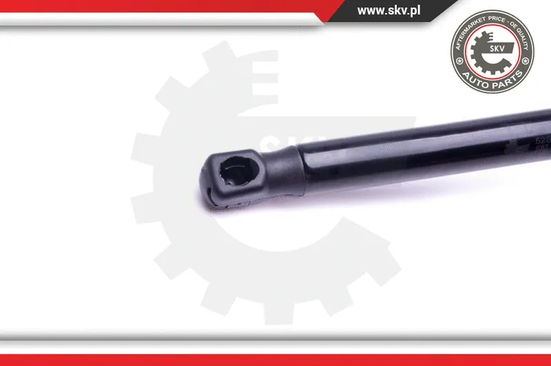 Gas Spring, boot/cargo area