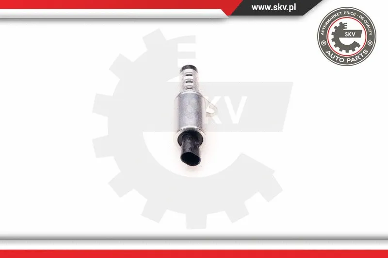 Control Valve, camshaft adjustment (39SKV008)