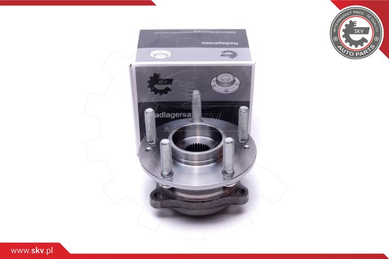 Wheel Bearing Kit (29SKV541)