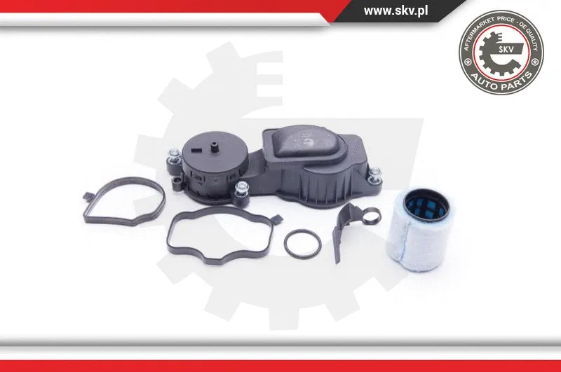 Valve, crankcase ventilation (31SKV033)