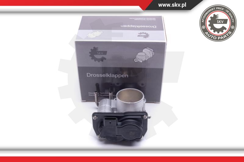 Throttle Body (12SKV110)