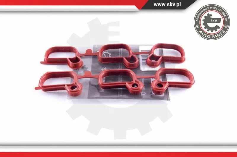 Repair Kit, intake manifold module (49SKV651)
