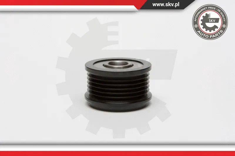 Alternator Freewheel Clutch (11SKV029)