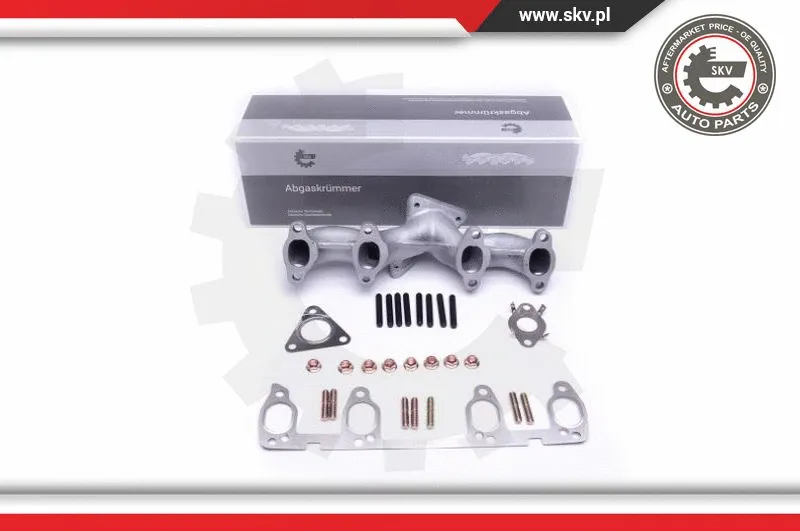 Manifold, exhaust system (49SKV048)