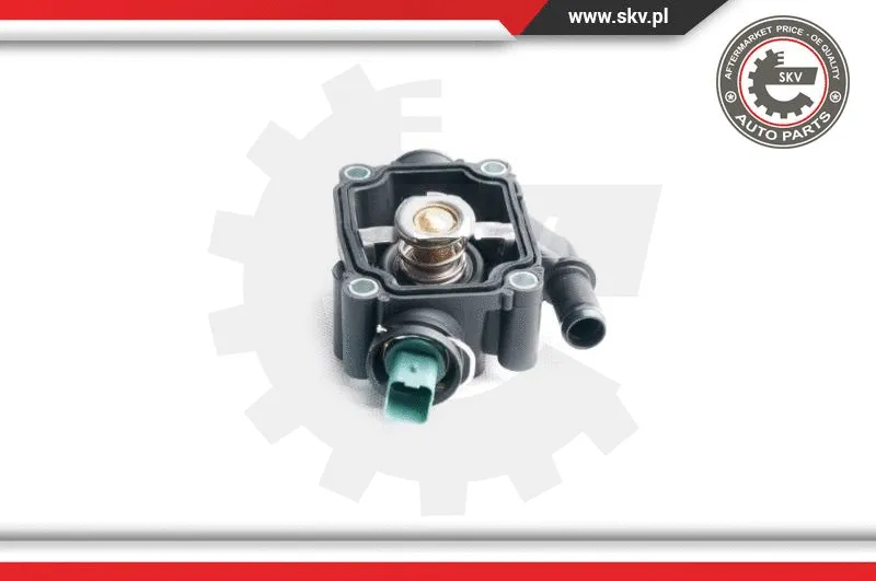 Thermostat, coolant