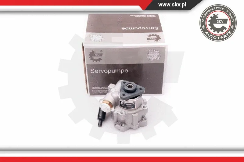 Hydraulic Pump, steering (10SKV239)