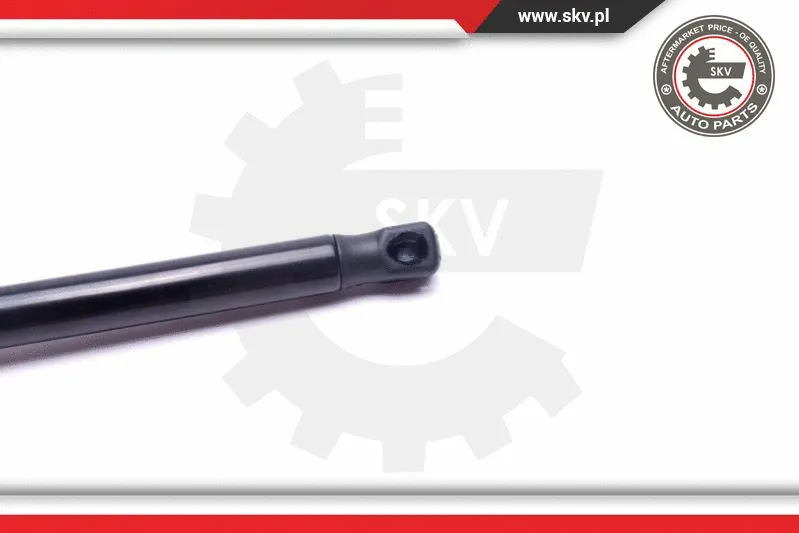 Gas Spring, boot/cargo area