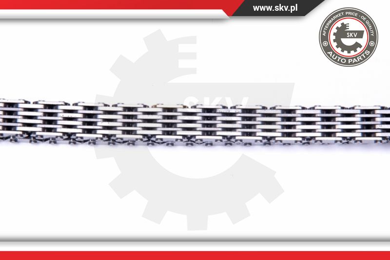 Timing Chain Kit