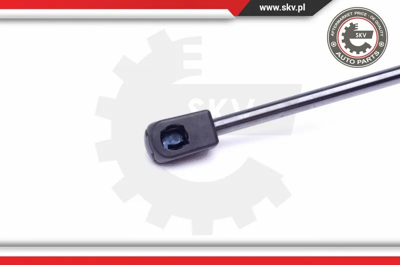 Gas Spring, boot/cargo area