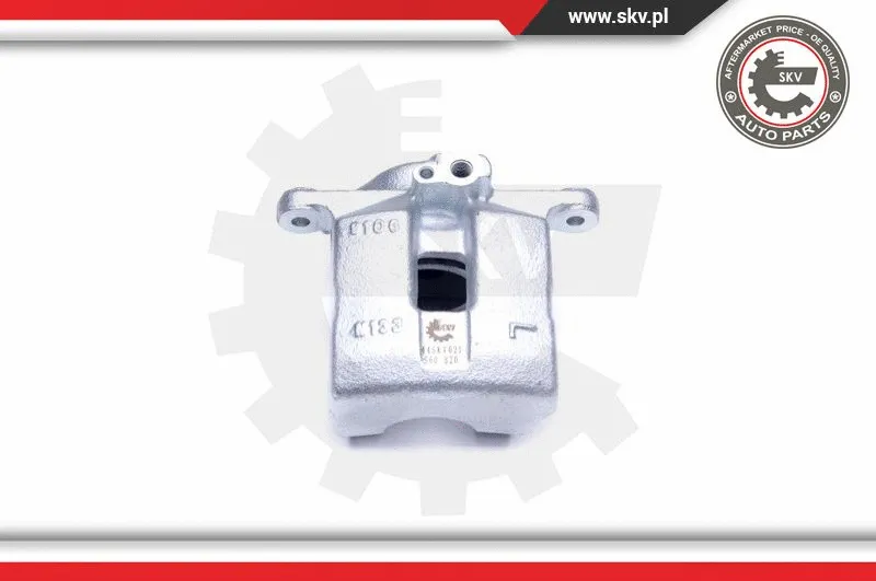 Brake Caliper (44SKV021)
