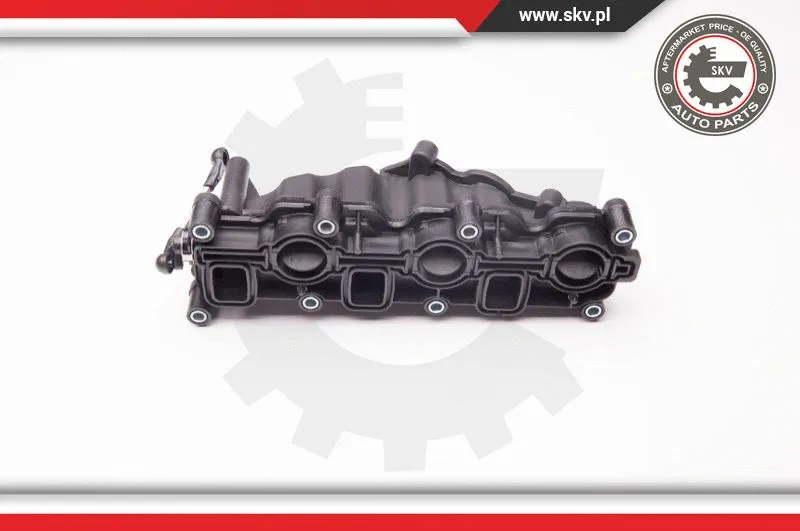 Intake Manifold Module