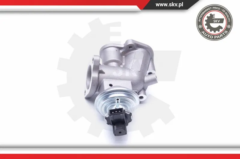 EGR Valve