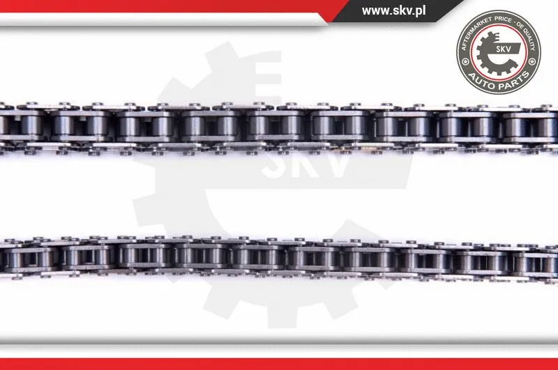 Timing Chain Kit